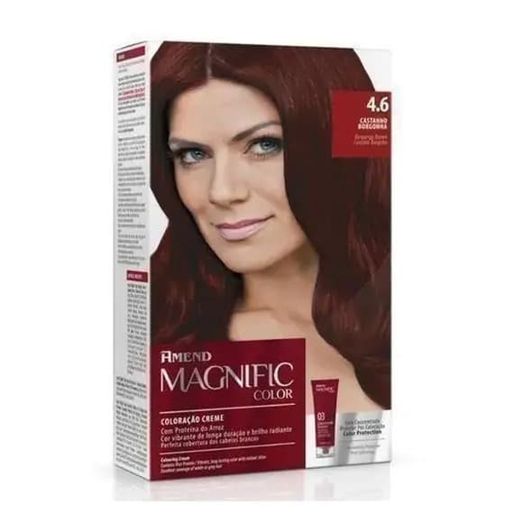 TINT AMEND MAGNIFIC  COLOR 4.6 CASTANHO B