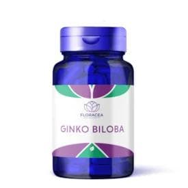 GINKGO ES 80MG C/45 CAPS