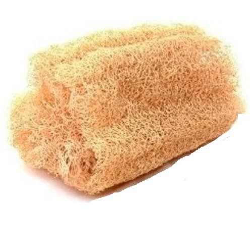 BUCHA VEGETAL  MINUCHE 8855