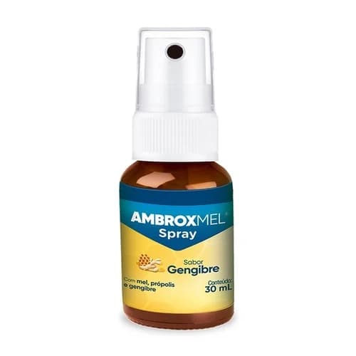 AMBROXMEL SPR FR 30ML MEL/EUC